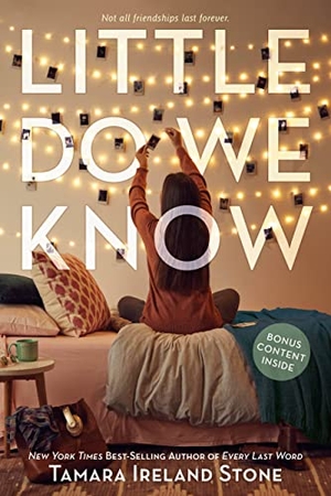 Stone, Tamara Ireland. Little Do We Know. Hachette Book Group, 2019.