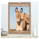 Entzückende Esel - Charmant und liebenswert (hochwertiger Premium Wandkalender 2025 DIN A2 hoch), Kunstdruck in Hochglanz