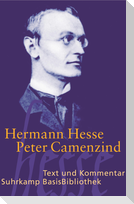 Peter Camenzind