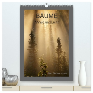 Henry, Philippe. BÄUME (hochwertiger Premium Wandkalender 2024 DIN A2 hoch), Kunstdruck in Hochglanz - Wald und Licht. Calvendo Verlag, 2023.