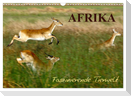 Afrika - Faszinierende Tierwelt (Wandkalender 2025 DIN A3 quer), CALVENDO Monatskalender