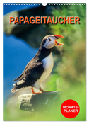 Papageitaucher Monatsplaner (Wandkalender 2024 DIN A3 hoch), CALVENDO Monatskalender