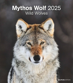 Alpha Edition (Hrsg.). Mythos Wolf 2025 - Foto-Kalender - Wand-Kalender - 30x34 - Wild Wolves. Neumann Verlage GmbH & Co, 2024.