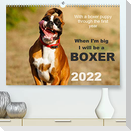 When I'm big I will be a Boxer / UK-Version (Premium, hochwertiger DIN A2 Wandkalender 2022, Kunstdruck in Hochglanz)