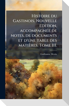 Histoire du Gastinois. Nouvelle Ã(c)dition, accompagnÃ(c)e de notes, de documents et d'une table des matiÃ¨res. Tome III.