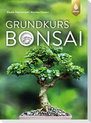 Grundkurs Bonsai