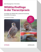 Wildtierfindlinge in der Tierarztpraxis