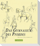 Das Gymnasium des Pferdes