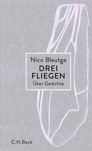 Nico Bleutge. Drei Fliegen - Über Gedichte. C.H.B