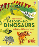 Big Book of Big Dinosaurs