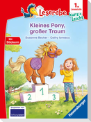 Kleines Pony, großer Traum - lesen lernen mit dem Leseraben - Erstlesebuch - Kinderbuch ab 6 Jahren - Lesenlernen 1. Klasse Jungen und Mädchen (Leserabe 1. Klasse)