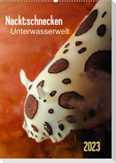 Nacktschnecken - Unterwasserwelt 2023 (Wandkalender 2023 DIN A2 hoch)