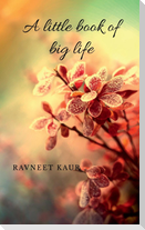 A little book of big life