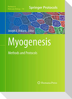 Myogenesis