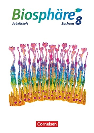 Wehser, Adria. Biosphäre Sekundarstufe I - 8. Schuljahr - Gymnasium Sachsen 2020 - Arbeitsheft. Cornelsen Verlag GmbH, 2021.
