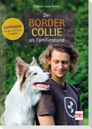 Der Border Collie als Familienhund