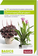 Zimmerpflanzen