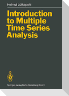 Introduction to Multiple Time Series Analysis