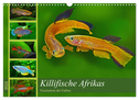 Killifische Afrikas (Wandkalender 2024 DIN A3 quer), CALVENDO Monatskalender