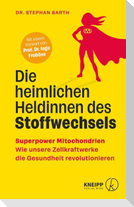Die heimlichen Heldinnen des Stoffwechsels