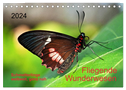 Fliegende Wunderwesen. Schmetterlinge weltweit, ganz nah (Tischkalender 2024 DIN A5 quer), CALVENDO Monatskalender