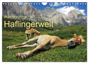 Wunderschöne Haflingerwelt (Wandkalender 2025 DIN A4 quer), CALVENDO Monatskalender