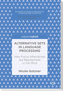 Alternative Sets in Language Processing