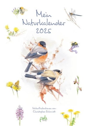 Schmidt, Christopher. Mein Naturkalender 2025 - Naturillustrationen von Christopher Schmidt. Pala- Verlag GmbH, 2024.