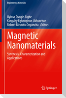 Magnetic Nanomaterials