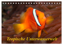 Tropische Unterwasserwelt (Tischkalender 2024 DIN A5 quer), CALVENDO Monatskalender