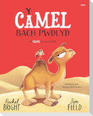 Y Camel Bach Pwdlyd / The Camel who had the hump