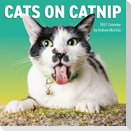 Cats on Catnip Wall Calendar 2027