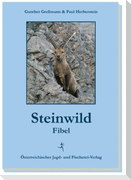 Steinwildfibel