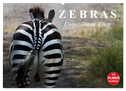 Zebras - Ungezähmte Kraft (Wandkalender 2024 DIN A2 quer), CALVENDO Monatskalender