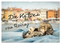 Die Katzen von Rovinj (Wandkalender 2024 DIN A2 quer), CALVENDO Monatskalender