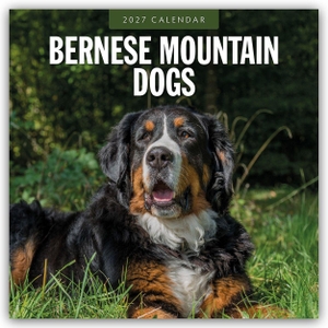 Red, Robin. Bernese Mountain Dog - Berner Sennenhund 2027 - 16-Monatskalender - Original Red Robin Publishing Ltd-Kalender [Mehrsprachig] [Kalender]. Browntrout Verlags GmbH, 2026.