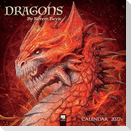 Dragons by Kerem Beyit - Drachen von Kerem Beyit 2027 - Original Flame Tree Publishing-Kalender [Kalender]