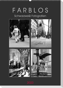 F A R B L O S  -  Schwarzweiß Fotografien (Wandkalender 2023 DIN A2 hoch)