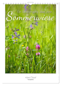 Ein Spaziergang über eine Sommerwiese (Wandkalender 2024 DIN A4 hoch), CALVENDO Monatskalender