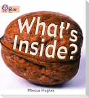 What's Inside?