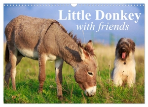 Stanzer, Elisabeth. Little Donkey with Friends (Wall Calendar 2024 DIN A3 landscape), CALVENDO 12 Month Wall Calendar - Sweet donkey with his lovley Friends. Calvendo, 2023.