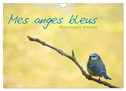 Mes anges bleus "mésanges bleues" (Calendrier mural 2025 DIN A4 vertical), CALVENDO calendrier mensuel