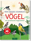 Mein großes Soundbuch Vögel