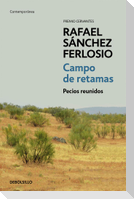 Campo de retamas : todos los pecios