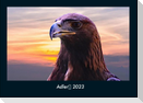 Adler 2023 Fotokalender DIN A4