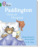 BIG CAT - PADDINGTON HOSPITAL