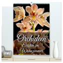 Orchideen - Exoten im Wohnzimmer (hochwertiger Premium Wandkalender 2024 DIN A2 hoch), Kunstdruck in Hochglanz
