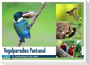Vogelparadies Pantanal (Wandkalender 2025 DIN A2 quer), CALVENDO Monatskalender