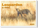 Leoparden in Afrika (Tischkalender 2025 DIN A5 quer), CALVENDO Monatskalender