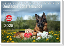 Deutsche Schäferhunde Seelentröster (Tischkalender 2025 DIN A5 quer), CALVENDO Monatskalender